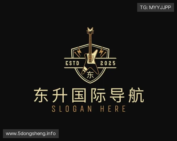 介绍东升国际导航